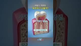 치아는 왜 스스로 회복이 안 될까? #충치 #충치치료 #치아 #치아건강 #치과 #치과의사 #부산치과 #센텀치과