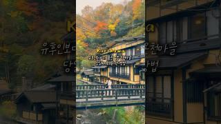 1500엔으로 숲 속 노천탕 세탕 가능?!아직 한국인은 잘 모르는 일본 온천마을에서 온천여행 즐기기‍️