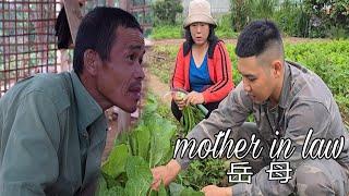 Hằng's Mother-in-Law Causes Chaos in Linh Hong's Family! Sung A Pao