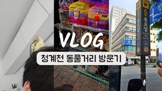 [Vlog] 청계천 동물거리 방문기 (with. 용식)