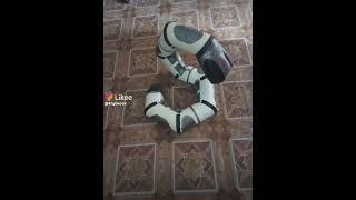 электронная змея со звуковыми и световыми эффектами(2)