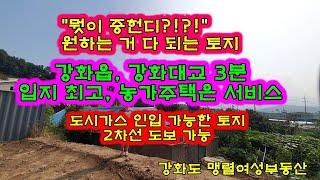 강화도토지 입지최고 강화대교3분 2차선도보30초 도시가스인입가능한토지 강화도부동산 맹렬여성부동산 농가주택은 서비스입니다