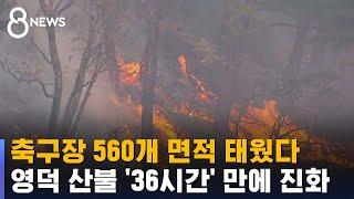 영덕 산불, 축구장 560개 면적 피해…36시간 만에 진화 / SBS