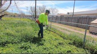 Most OVERGROWN Lawn of The Year!