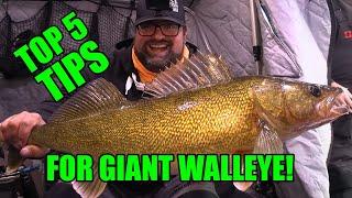 Top 5 tips for Ice Fishing GIANT Walleye!