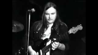 Lynyrd Skynyrd - complete concert from Winterland 1975