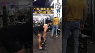 stiff leg workout with dumbbells ️‍️ #shorts #gym #workout #legworkout