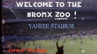 Welcome to the Bronx Zoo! (Yankee Stadium Mayhem!) *1995-Present*