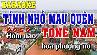 Tỉnh Nhỏ Mau Quên Karaoke Tone Nam Beat Chuẩn | Đình Long Karaoke