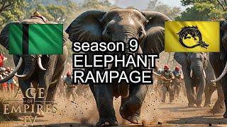 Delhi Elephants Rampage in Age of Empires IV!