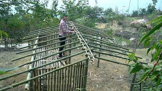 New life renovation, take palm leaves to build chicken coop, daily life