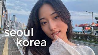 korea vlog  exploring gangnam, traditional korean meals, meeting extended family, date night