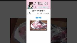은발의 귀여운 마녀