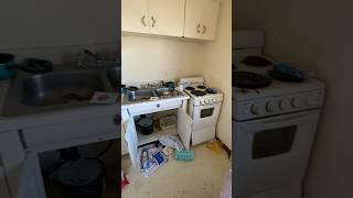 Dealing with deliberate damage by a difficult tenant #HandsomeOrHandy #PropertyMaintenance￼