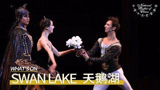 Swan Lake in Tianqiao Theater: “ Every Performance Makes Us Feel So Pride to Chinese Ballet!”