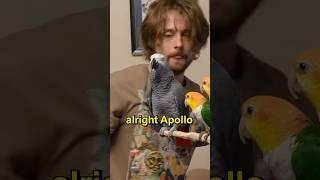 Apollo Acting a Fool 
