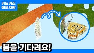 [에코자람] 봄을 기다려요!ㅣ키드키즈ㅣ환경동화ㅣ환경교육ㅣ어린이동화ㅣ유아동화ㅣ봄동화