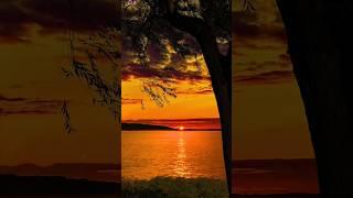 Tere Aane Ki Jab Khabar Mahke I Jagjit Singh I #theumcgazal​ #gazal2022​ #aesthetic​ #ghazal​ #gazal