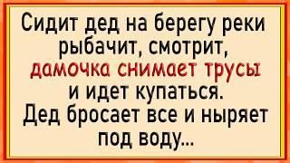 Как дедуля под водой даме того! Сборник свежих анекдотов! Юмор!