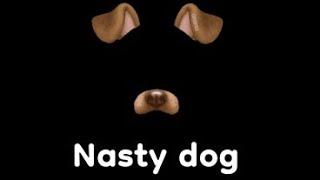 Nasty dog, meme