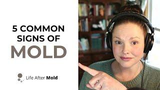 5 Commonly OVERLOOKED Signs of MOLD (Water Damage Risks)