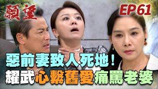 願望 EP61 完整版｜丈夫前妻真夭壽！阿曼達慘遭毒手 耀武心痛至極！勝強終於遇初戀 兩人念念不忘？！｜Desires｜【十全果醋】