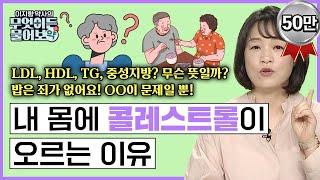 LDL, HDL, TG, 중성지방? 다 무슨뜻일까? 밥은 죄가 없어요! OO이 문제일 뿐! 내 몸에 콜레스트롤이 오르는 이유 [이지향 약사의 무엇이든 물어보약 5화 FULL버젼]