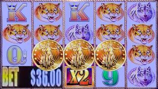 OMG!  3 COINS LAND on HUGE MAX BET  2ND TIME EVER IN MY LIFE!