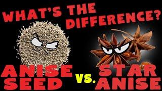 Anise Seed vs Star Anise: What is the Difference?