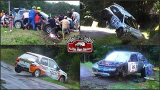 Rallye des Vallées 2024 [CRASHES]