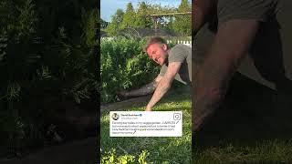 David Beckham Gardening