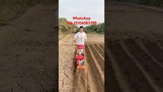 Competitive Price Agricultural Machine Farm Tractor Garden Rotary Mini Tiller Cultivator Power