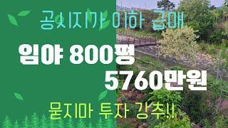 5,760만원 초급매 800평 임야(거래완료)