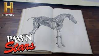 Pawn Stars Do America: "BEST OF ITS KIND!" Rebecca Appraises Weird Horse Book (Season 1)