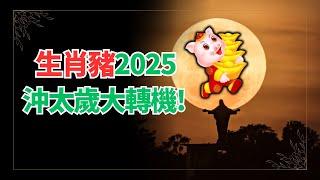 生肖豬，2025年運勢想不到！你居然有如此驚人的變化！命運轉折點出乎意料！不可不看！ #2024年屬豬運程 #2024生肖豬運勢 #2024属豬运势 #2024属豬运程