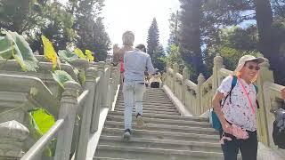 THE BIG BUDDHA (HONG KONG), TIAN TAN BUDDHA, PO LIN MONASTERY