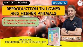 Class 12 Lecture -2 | Reproduction in Lower and Higher Animals | #ysracademy | Maharashtra Boards