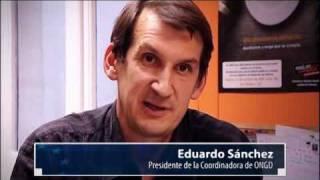 Como es la Europa de los ciudadanos