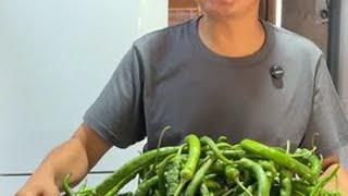 徐三娃用10斤二荆条做烧椒酱，配上现摘青花椒，麻辣鲜香很下饭#我的乡村生活 #徐三娃 #烧椒酱 #青花椒