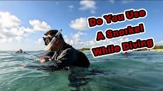 Do Scuba Divers Actually Use Snorkels