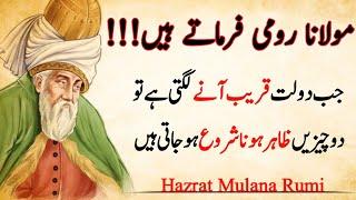 Maulana Rumi Life Changing Words | Amazing Quotes About Rumi | Shani Production |