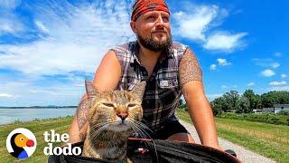 Guy Finds A Stray Kitten, Bikes Around The World With Her For Two Years | The Dodo Soulmates