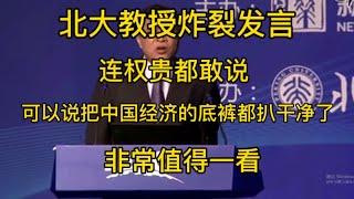 北大教授炸裂发言，连权贵都敢说，可以说把中国经济的底裤都扒干净了，非常值得一看