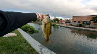 Urban Fishing in Frederick Maryland