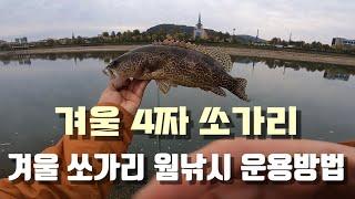 겨울 4짜 쏘가리! [대전 만년교 동면터]