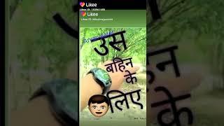 Arvind R