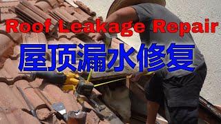 Roof Leakage Repair/ Roofing Repair/屋顶漏水修复/维修房子【MINGCHUNG】