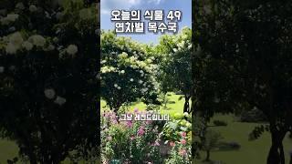 49. 목수국 1, 3, 5, 10, 30년생 전격비교!!