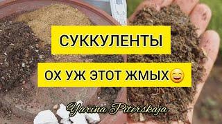 Суккуленты. Ох уж этот жмых