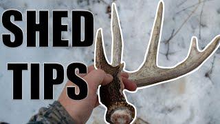 MASTER SHED HUNTING! | PRO TIPS FOR FINDING MORE ANTLERS